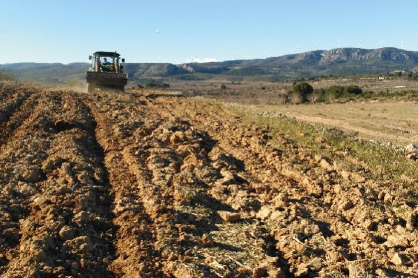 gestion-tierra-cooperativa-viver Gestión en común de tierras de la Cooperativa de Viver