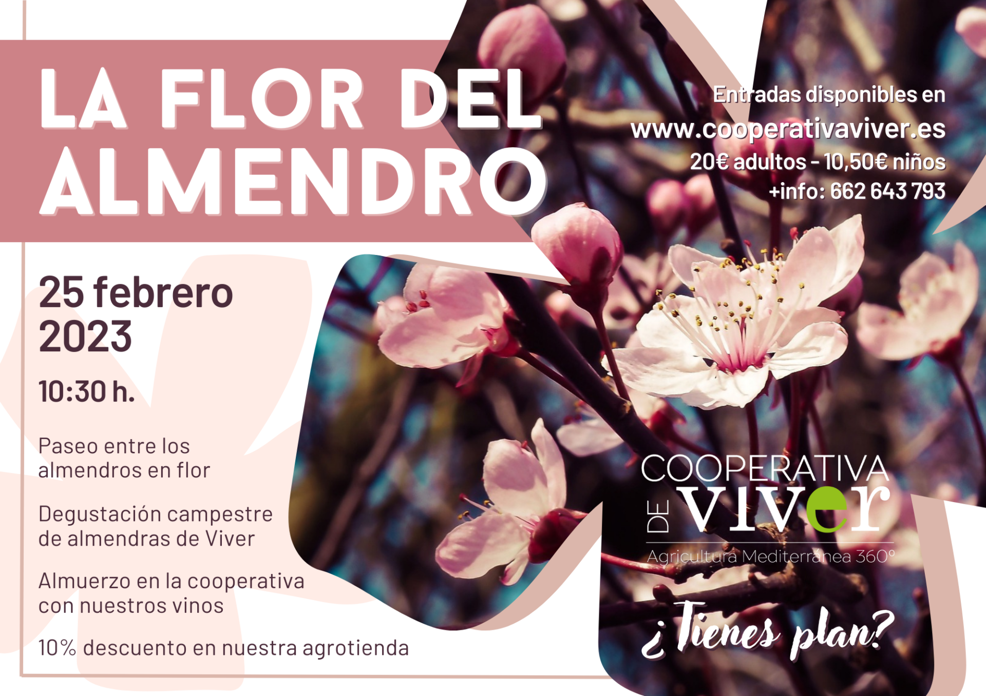 la flor del almendro agroturismo cooperativa de viver