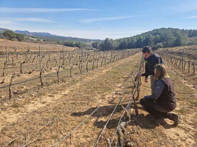 Formando a jóvenes agricultores con el Programa CULTIVA