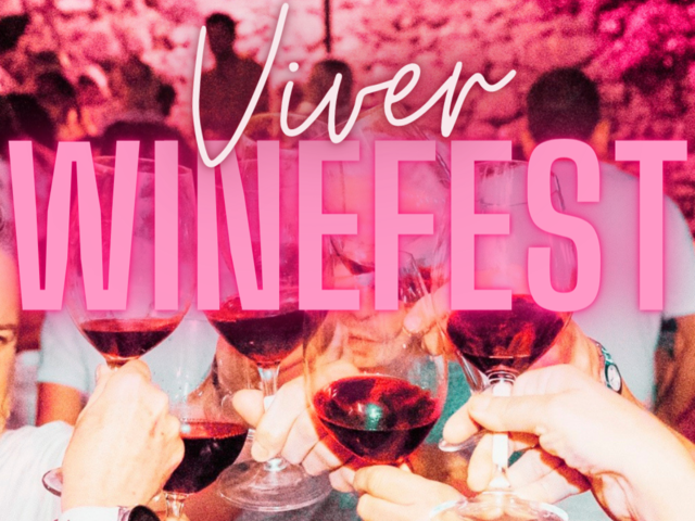 Un brindis para celebrar el éxito del Viver Winefest