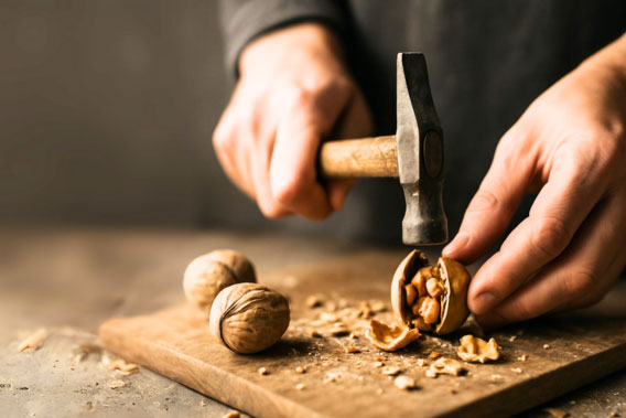 Tiempo de nueces en la Cooperativa de Viver