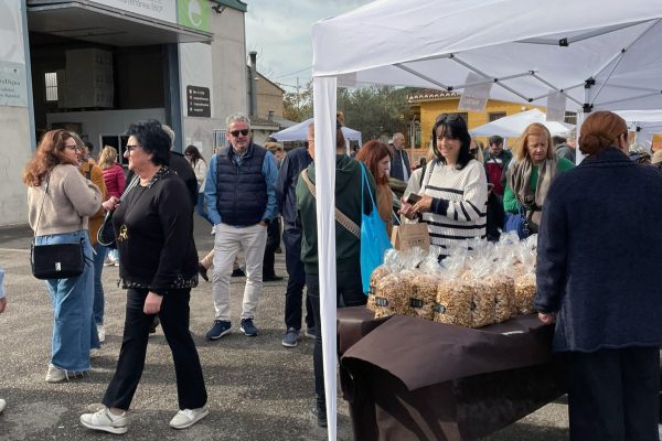 Feria de la nuez y la almendra de la Cooperativa de Viver