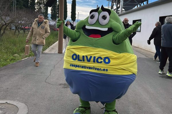 Fiesta del aceite nuevo de la Cooperativa de Viver