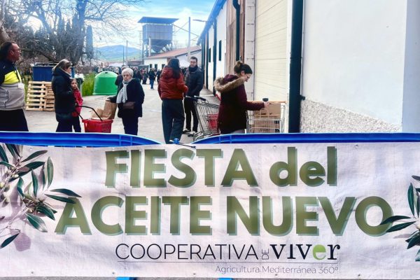 Fiesta del aceite nuevo de la Cooperativa de Viver