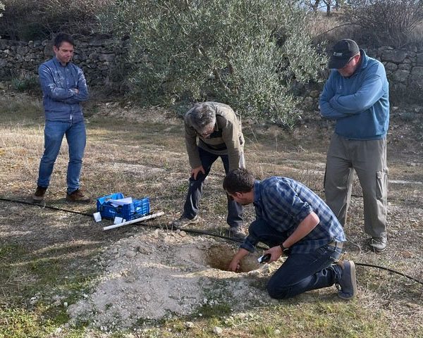 Un sistema de riego subterráneo en el olivar ahorra un 20% de agua sin mermar la producción ni la calidad del aceite. Proyecto Handywater IVIA y Cooperativa de Viver Formación agraria organizada por la Cooperativa de Viver