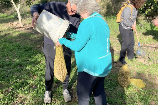 Tiempo de nueces en la Cooperativa de Viver