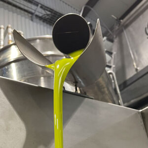 Campaña elaboración AOVE Lágrima 2025 Cooperativa de Viver