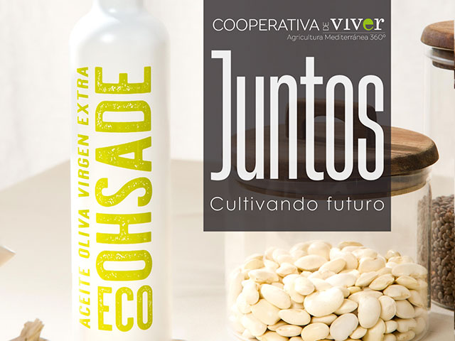 Consulta aquí la edición de invierno del boletín “Juntos”