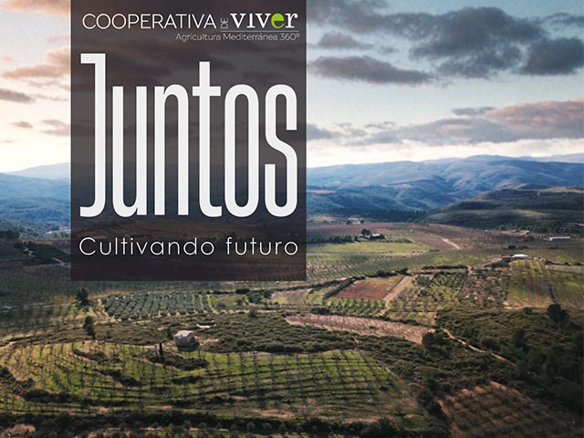 Ya disponible la edición de primavera del boletín “Juntos”