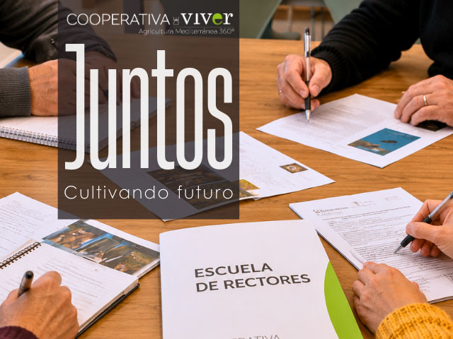 Ya disponible la edición de verano del boletín “Juntos”