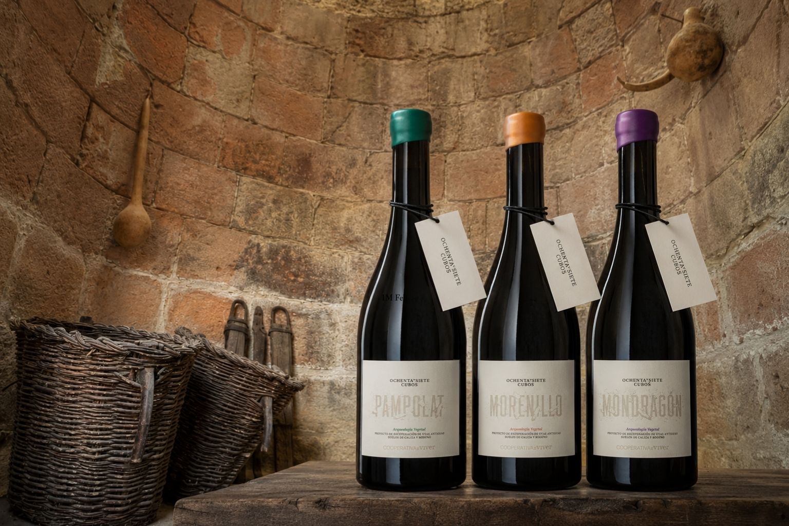 uvas-antiguas-cata-vinos-variedades-recuperadas