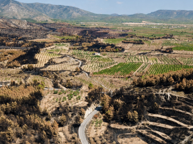 GO Viver: parcelas agrarias para prevenir incendios